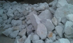 Cameroon customer 100tpd lime plant project